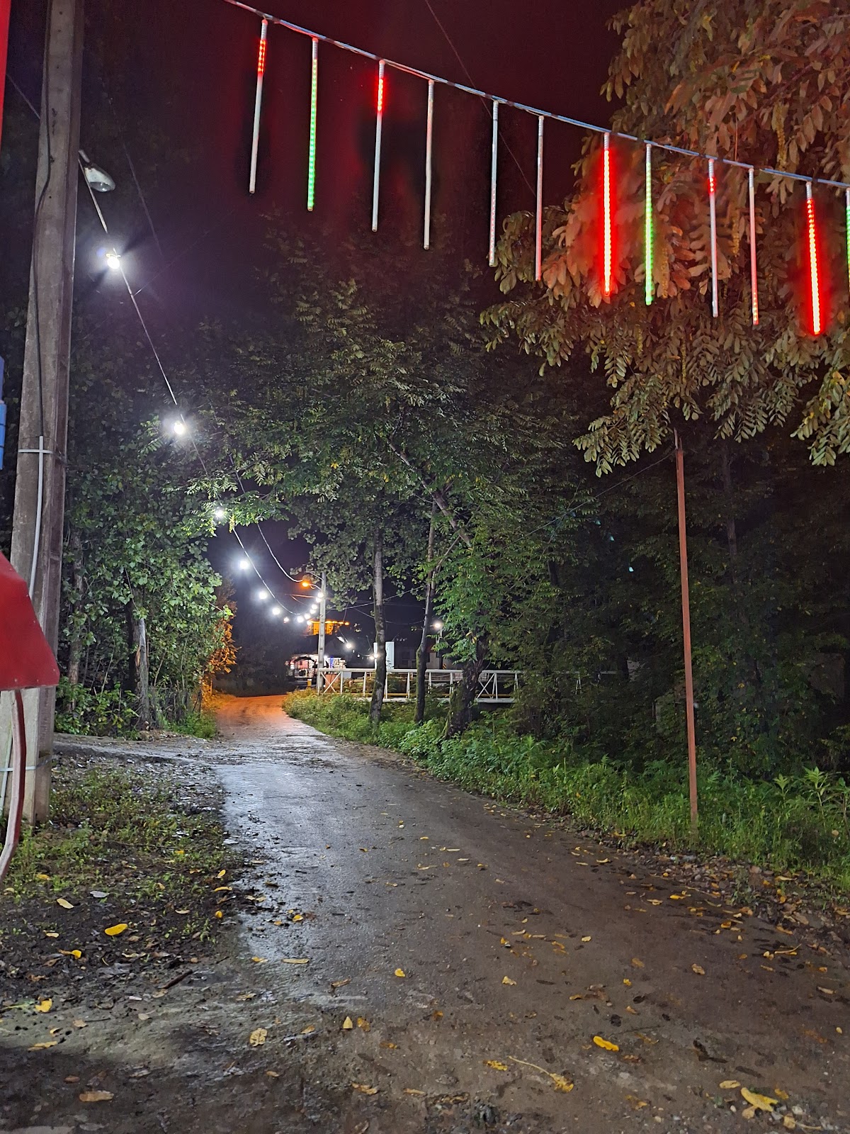 کافه رنگین کمان، تصویر ۷