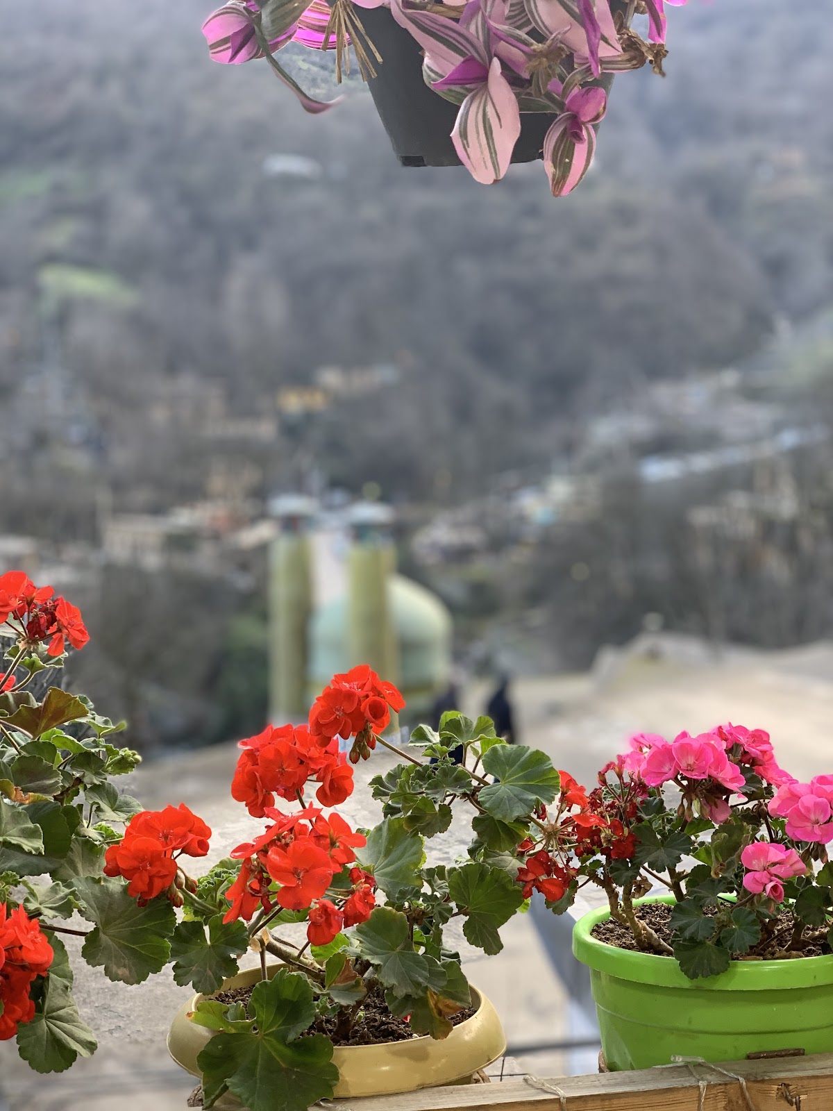 چ/چایخانه سنتی ترنج، تصویر ۸