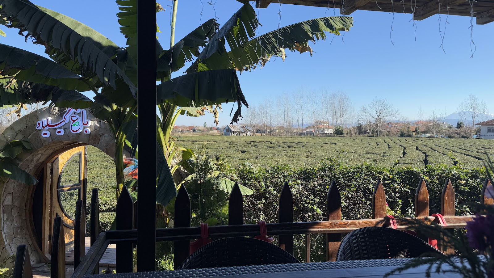 کافه رستوران گیلیاد، تصویر ۶