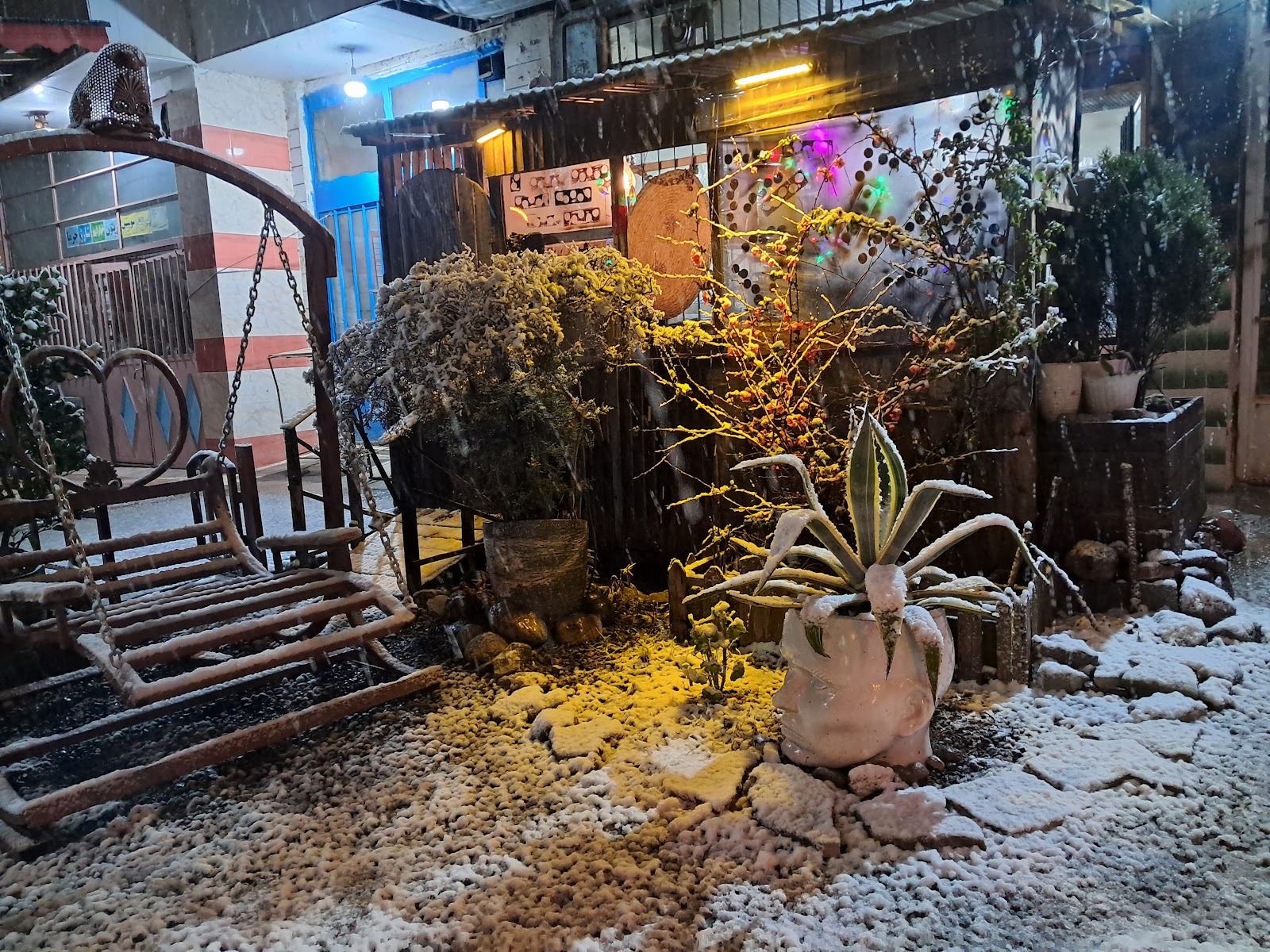 علی کافه، تصویر ۲