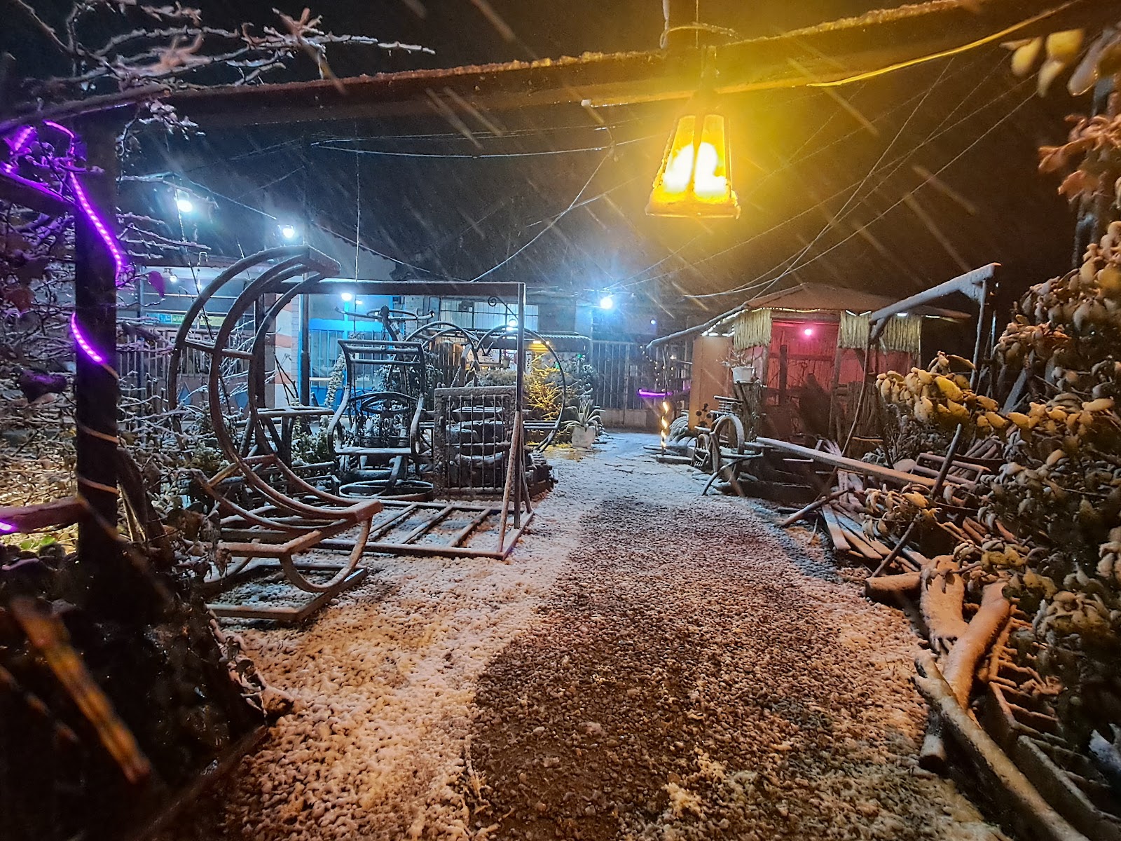 علی کافه، تصویر ۴