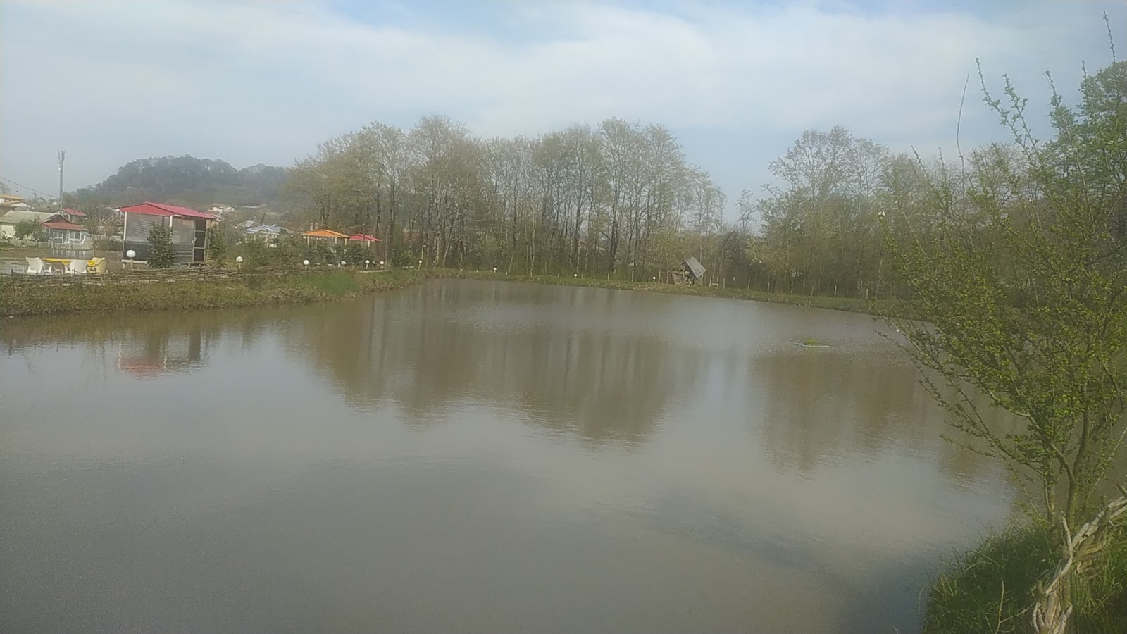کافه مازو، تصویر ۳