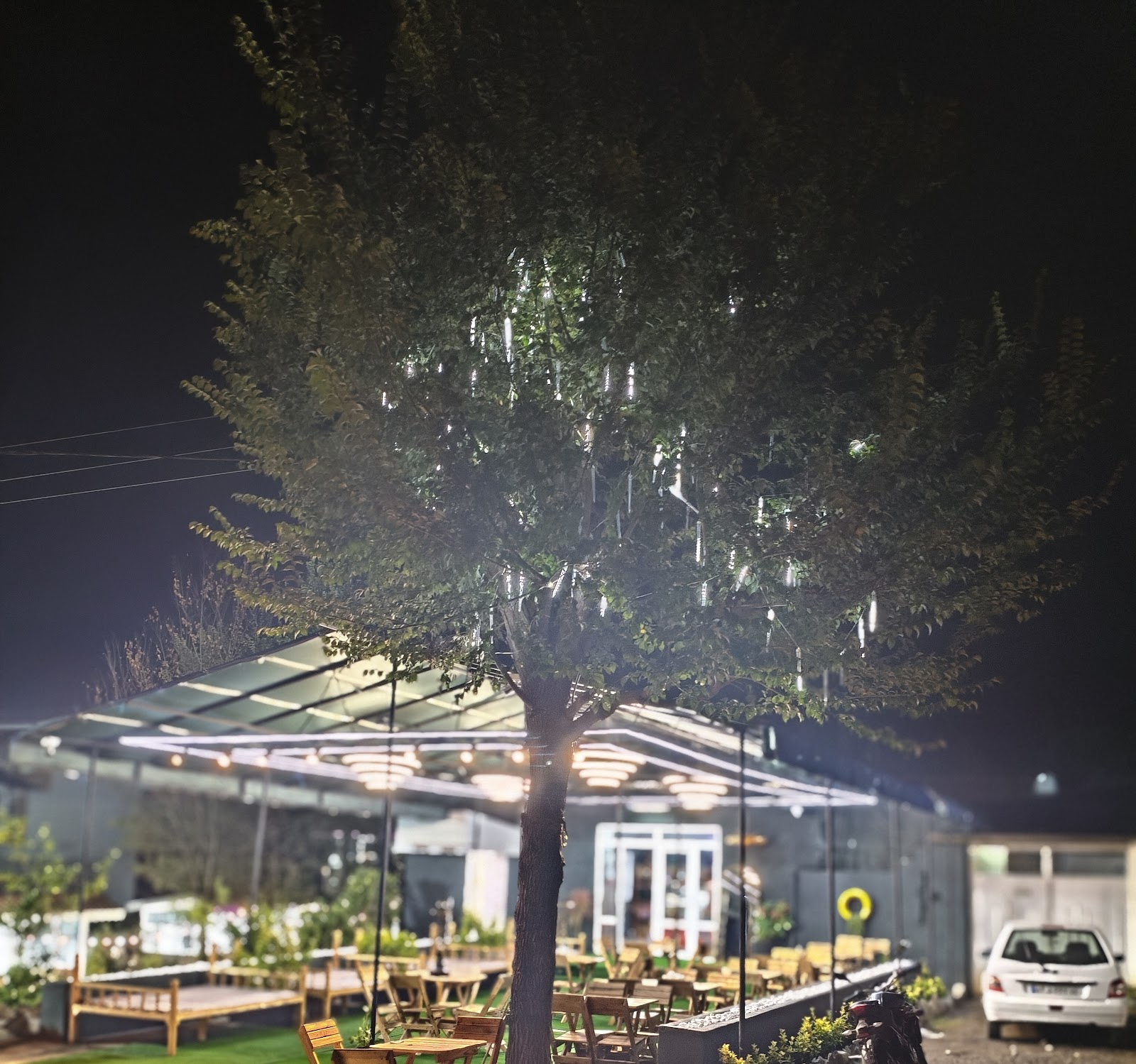 کافه رستوران شیرین، تصویر ۳