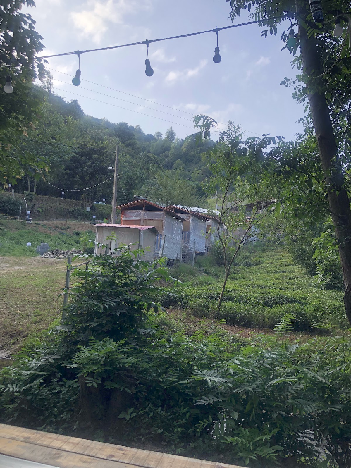 کافه وباغ ماه منیر، تصویر ۵