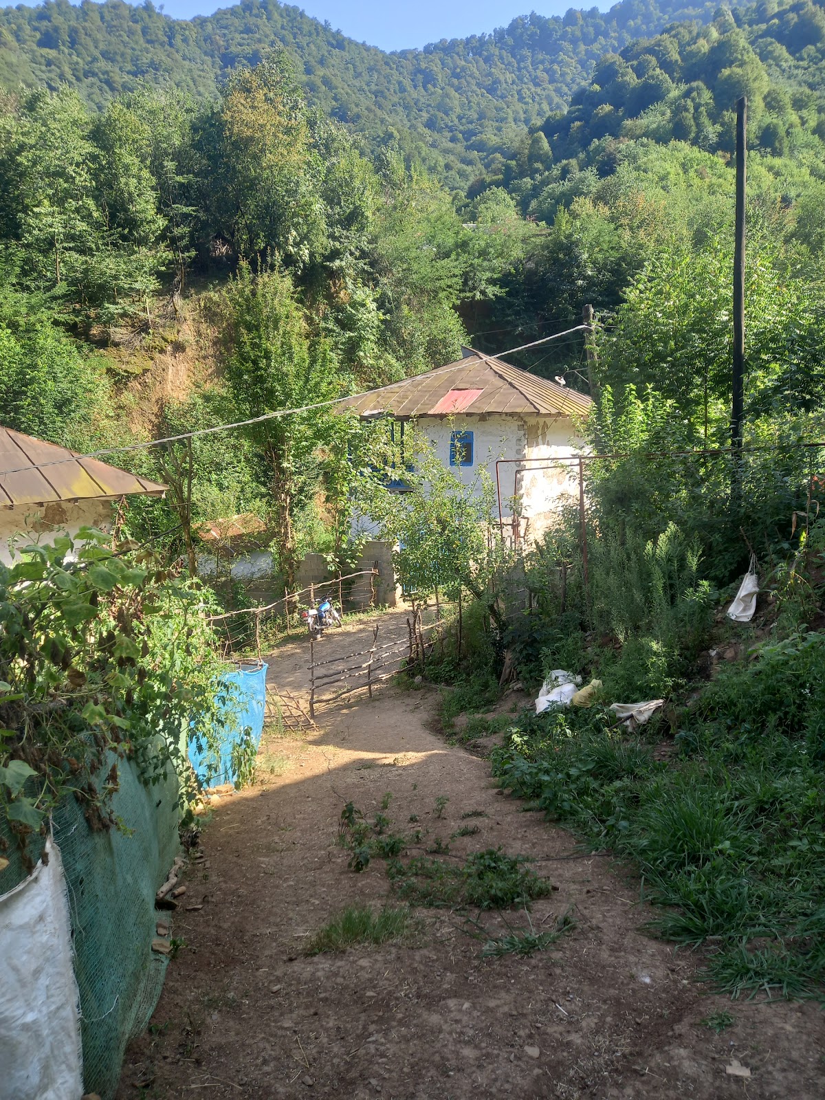 سفره خانه بام آلیان، تصویر ۴