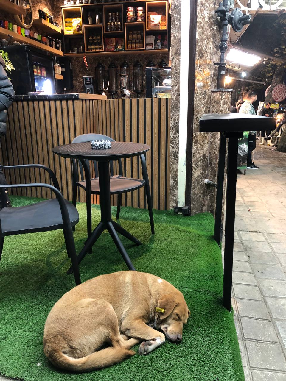 کافه گریسون Cafe Garrison، تصویر ۶