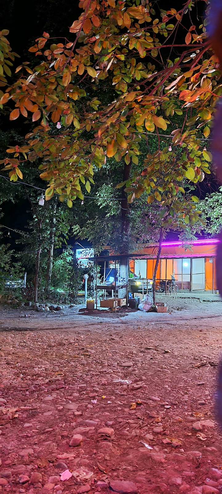 کافه محمد عبداللهی، تصویر ۵