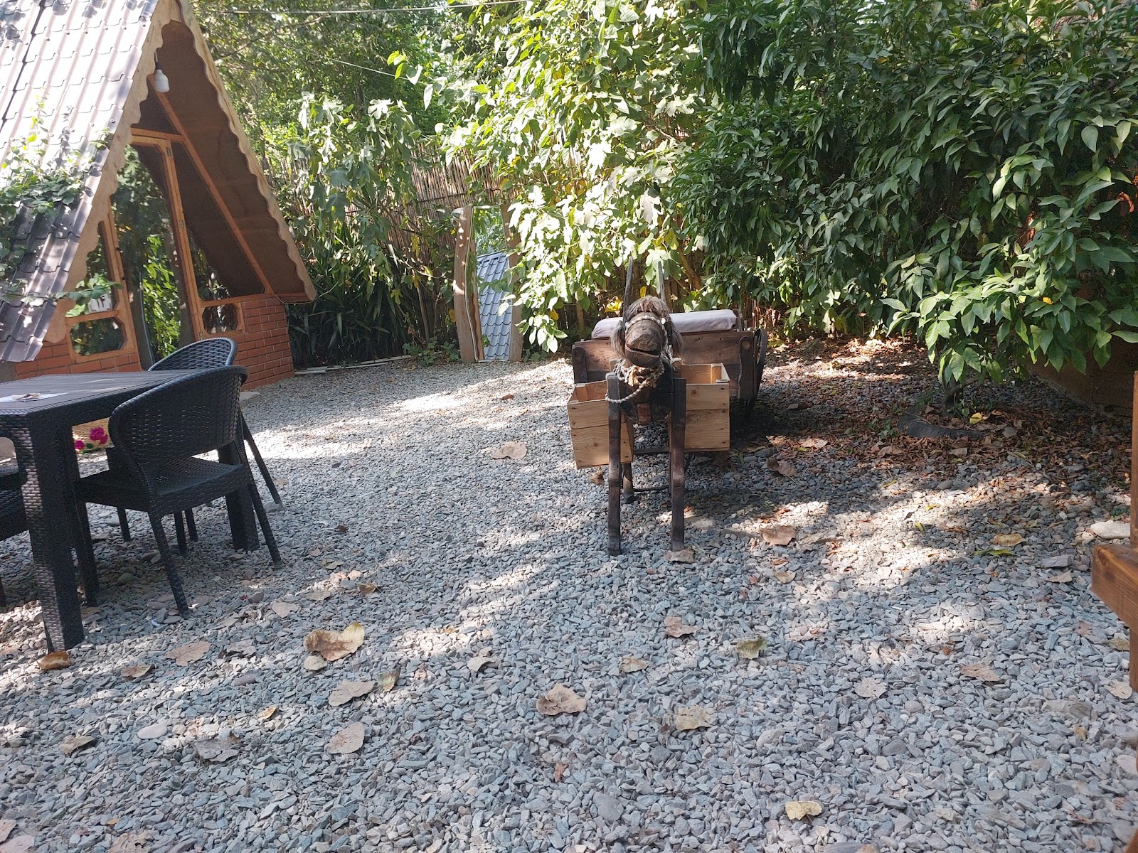 کافه تی خونه، تصویر ۳