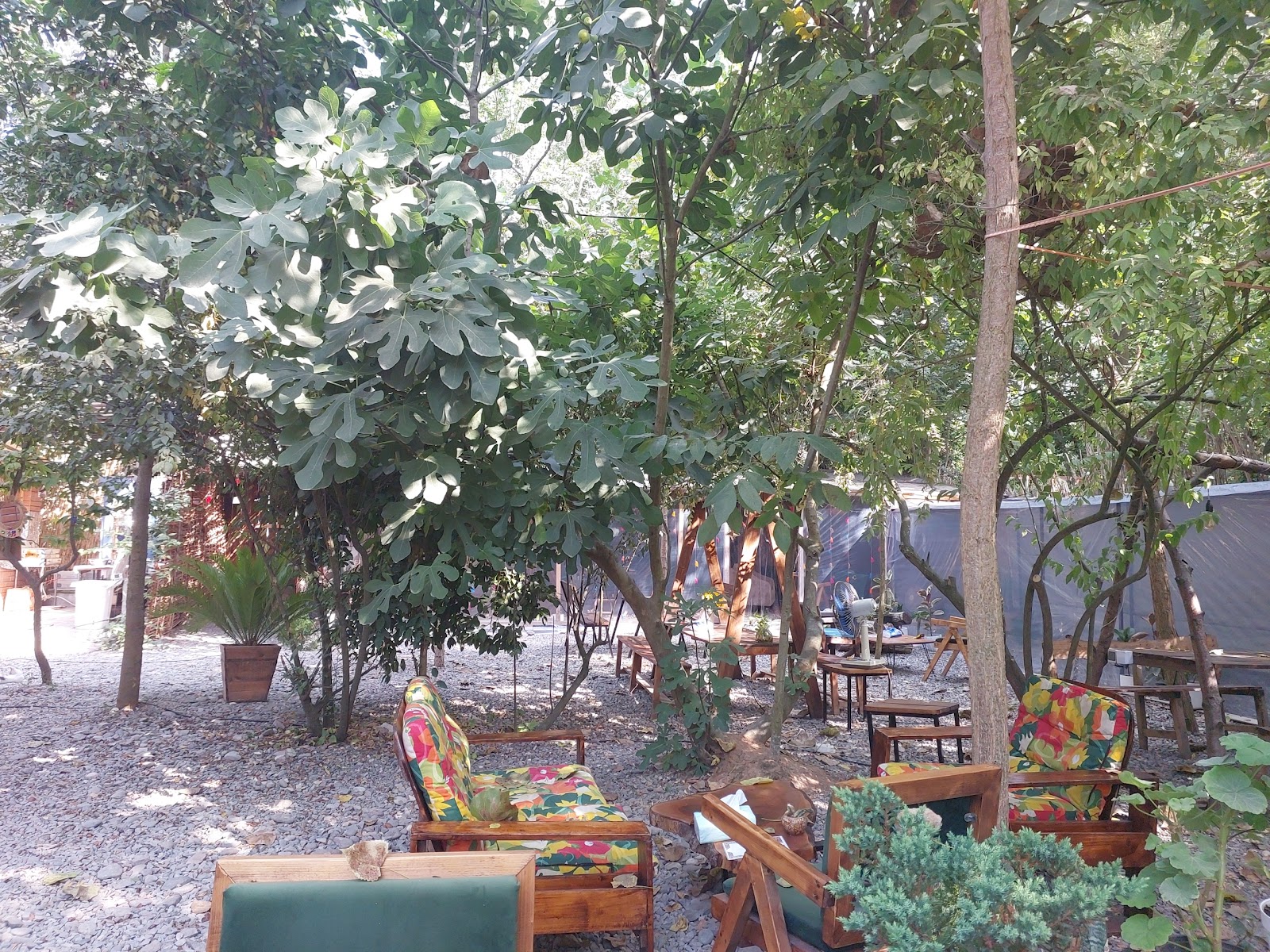 کافه تی خونه، تصویر ۴