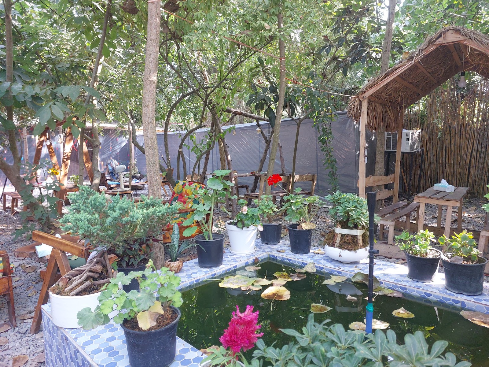 کافه تی خونه، تصویر ۵