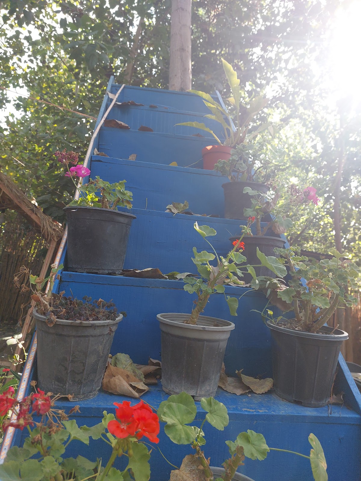 کافه تی خونه، تصویر ۶