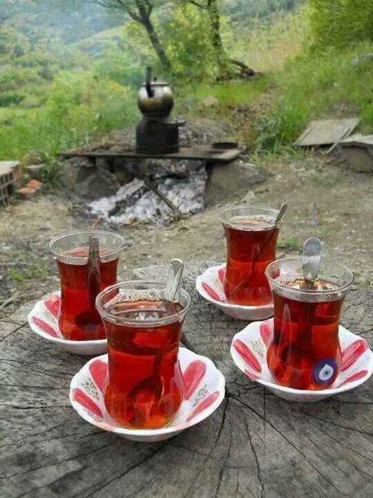 چای مش قربان، تصویر ۴