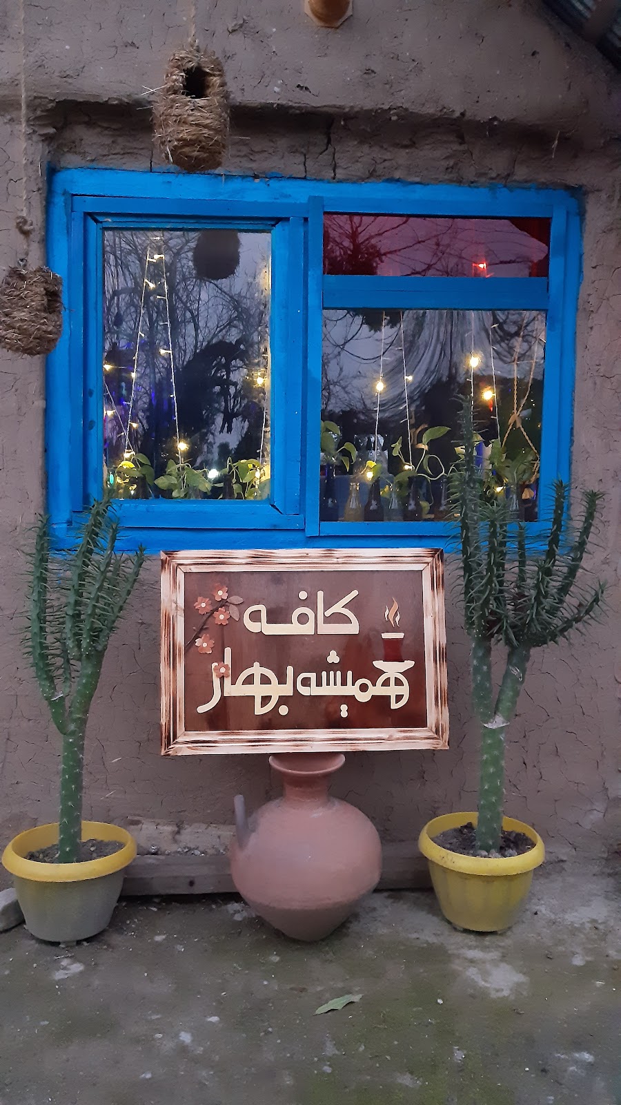 کافه همیشه بهار، تصویر ۸