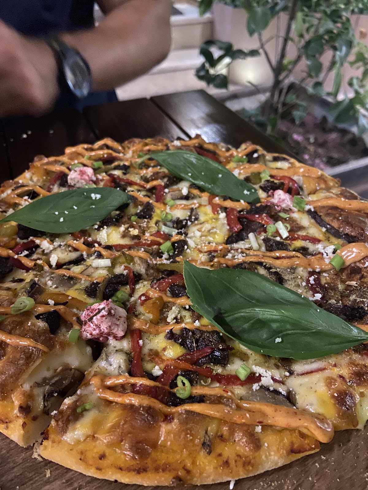 JeuCafe کافه ژو، تصویر ۴