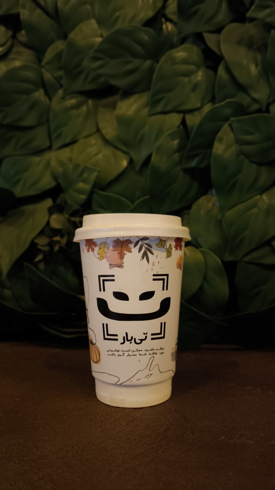 تی بار معلم، تصویر ۵