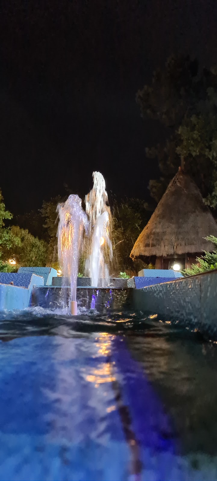 کافه جینکو، تصویر ۷