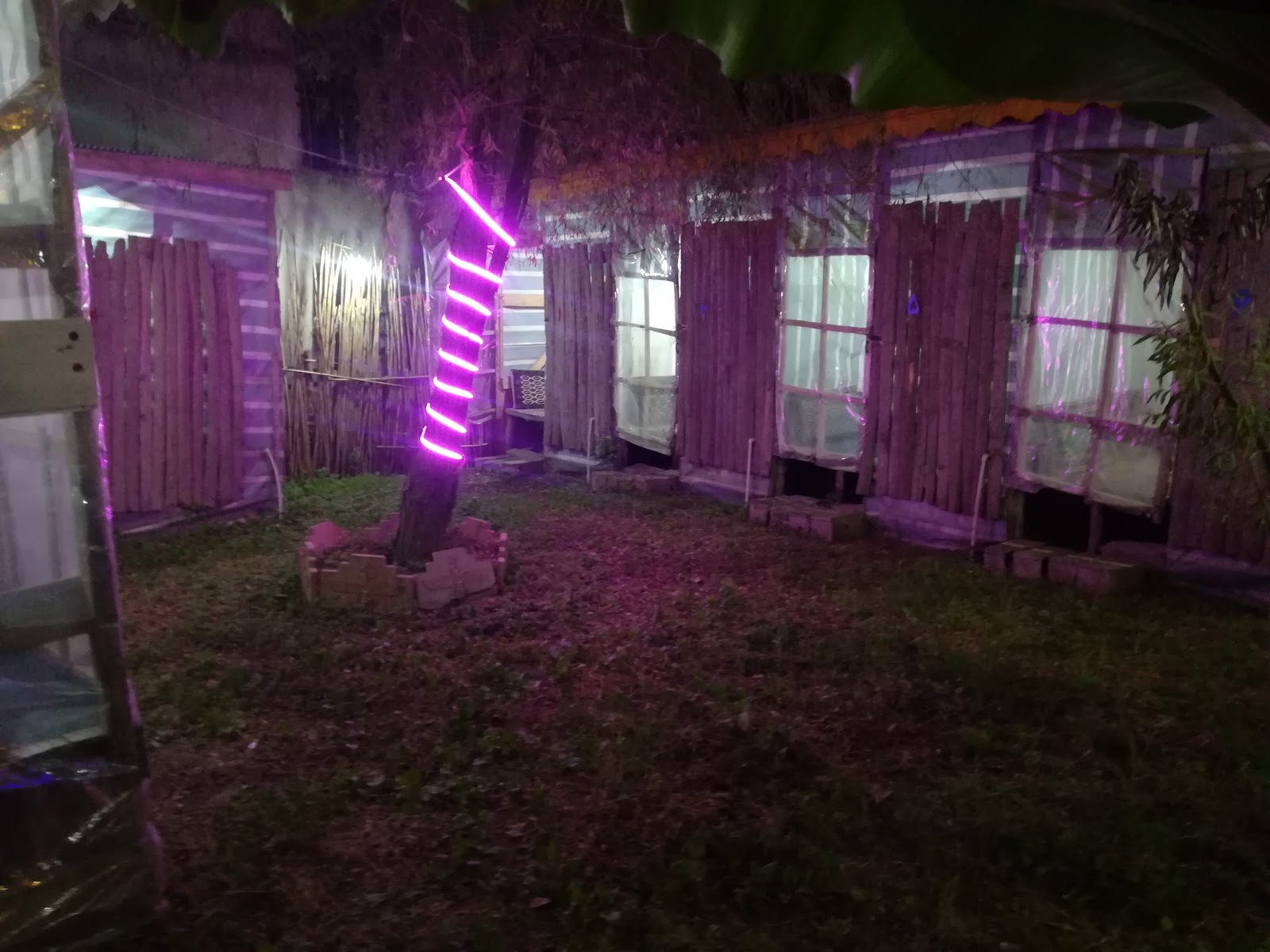 سفره خانه سنتی سناتور، تصویر ۳