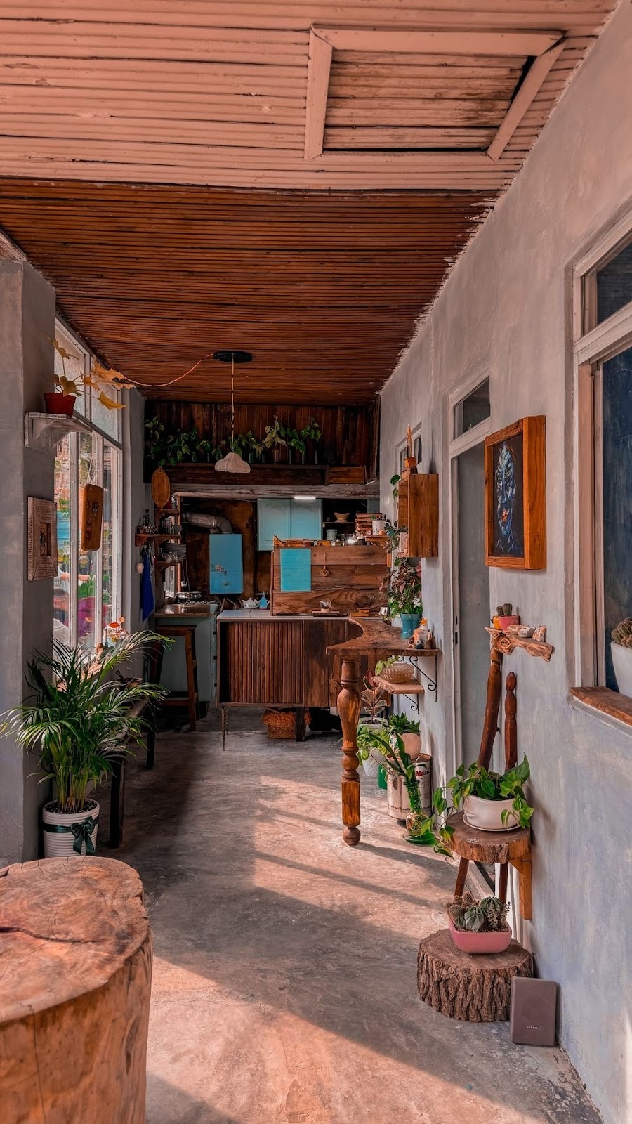 شبدار دکان، تصویر ۵