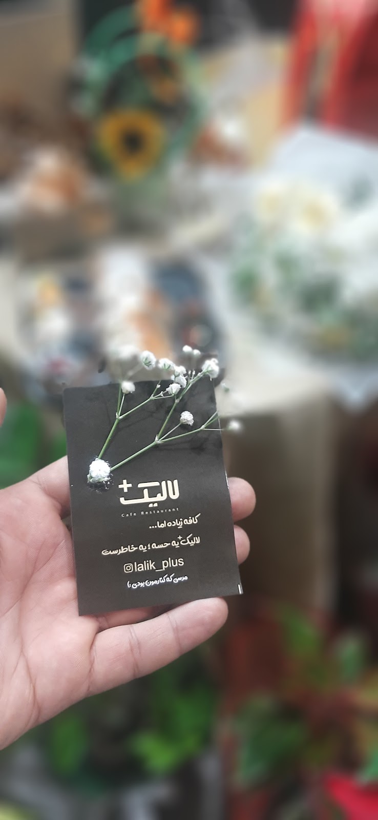 لالیک پلاس، تصویر ۴