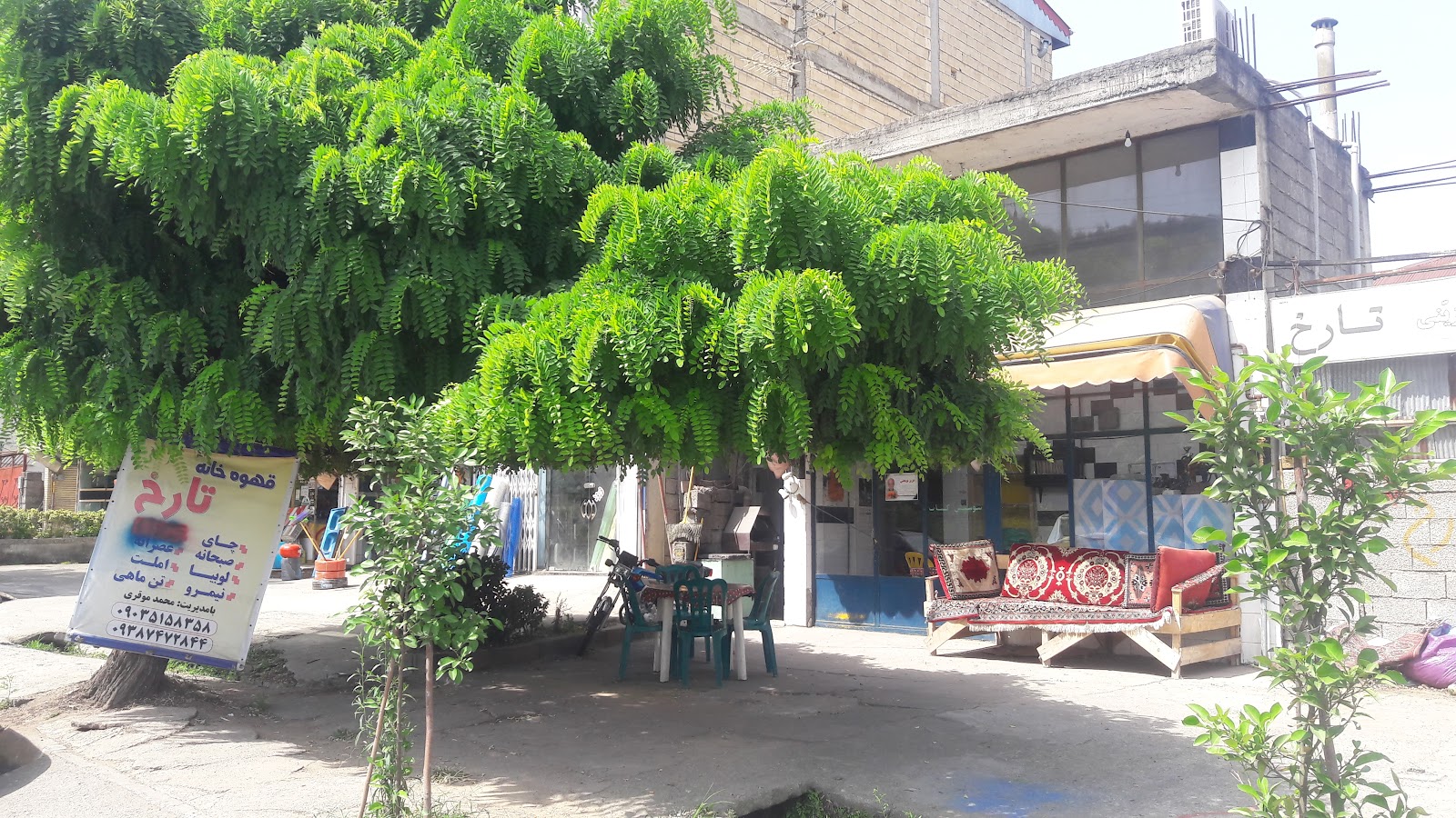 کافه تارخ، تصویر ۳