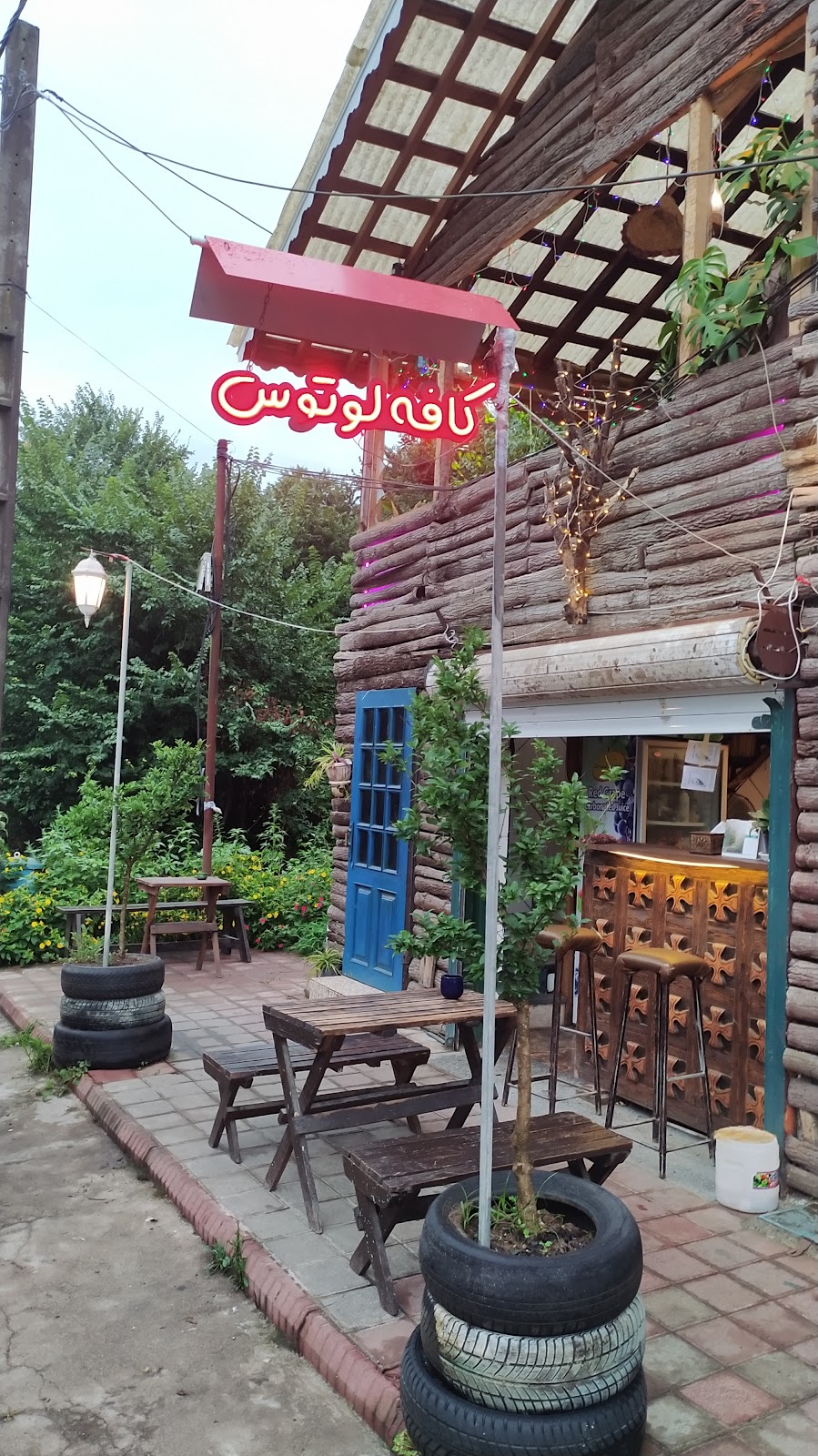 کافه لوتوس، تصویر ۷