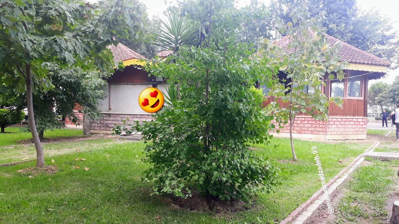 پشت بوفه، تصویر ۳