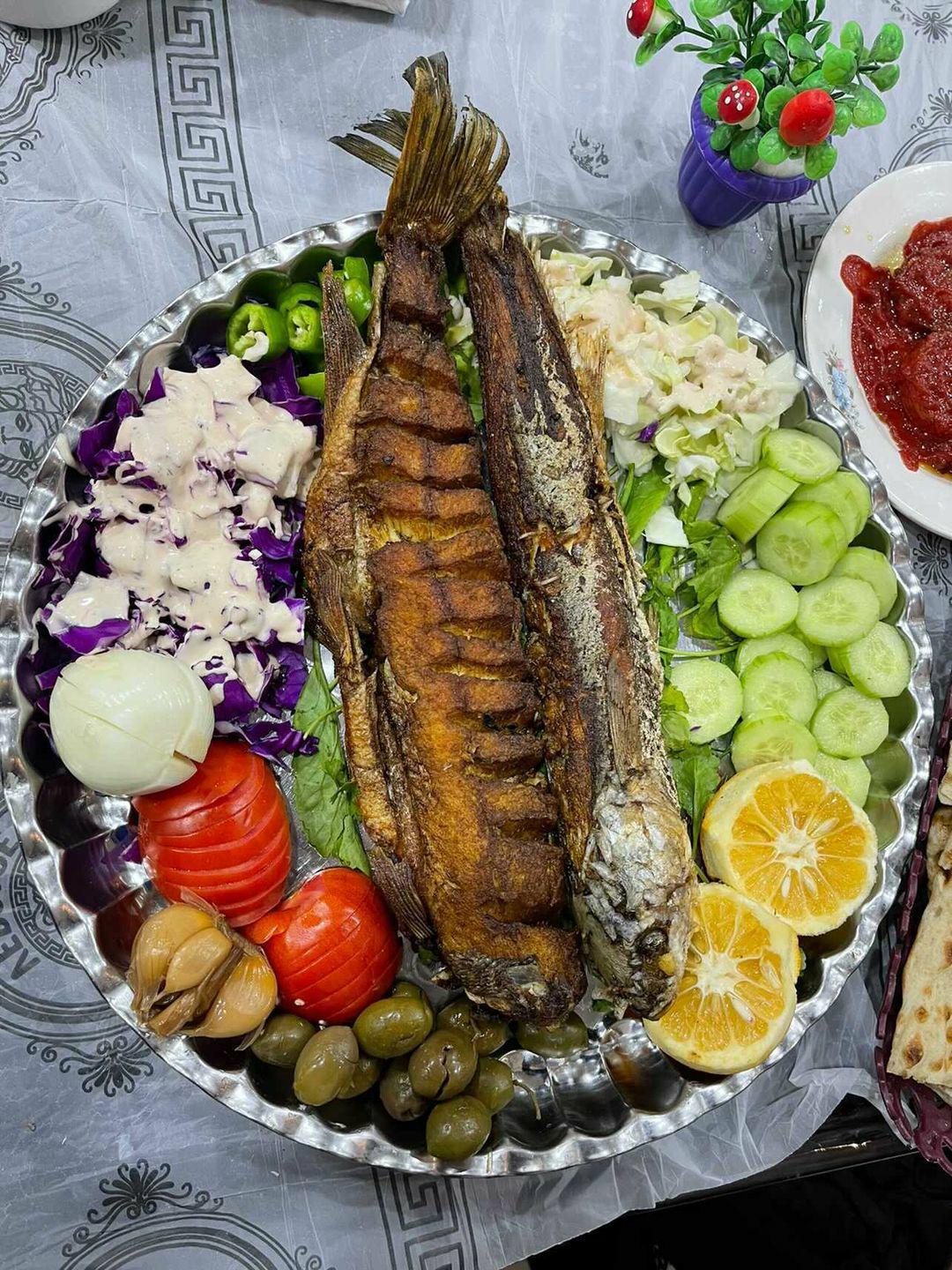 کافه ساحلی مهیار، تصویر ۸
