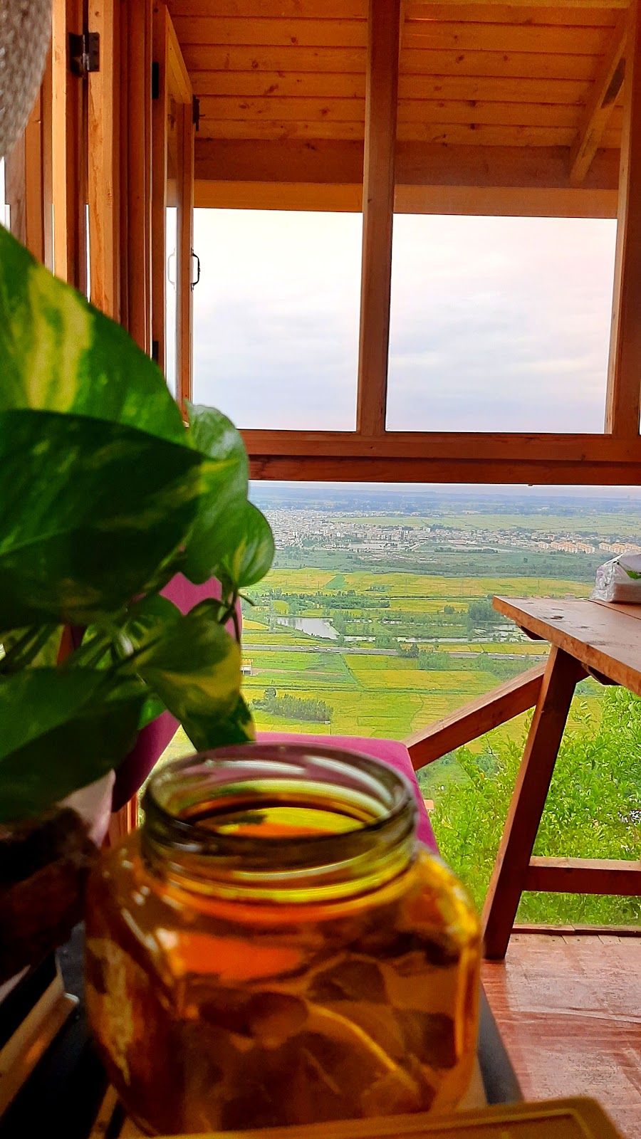 کافه جورا، تصویر ۳