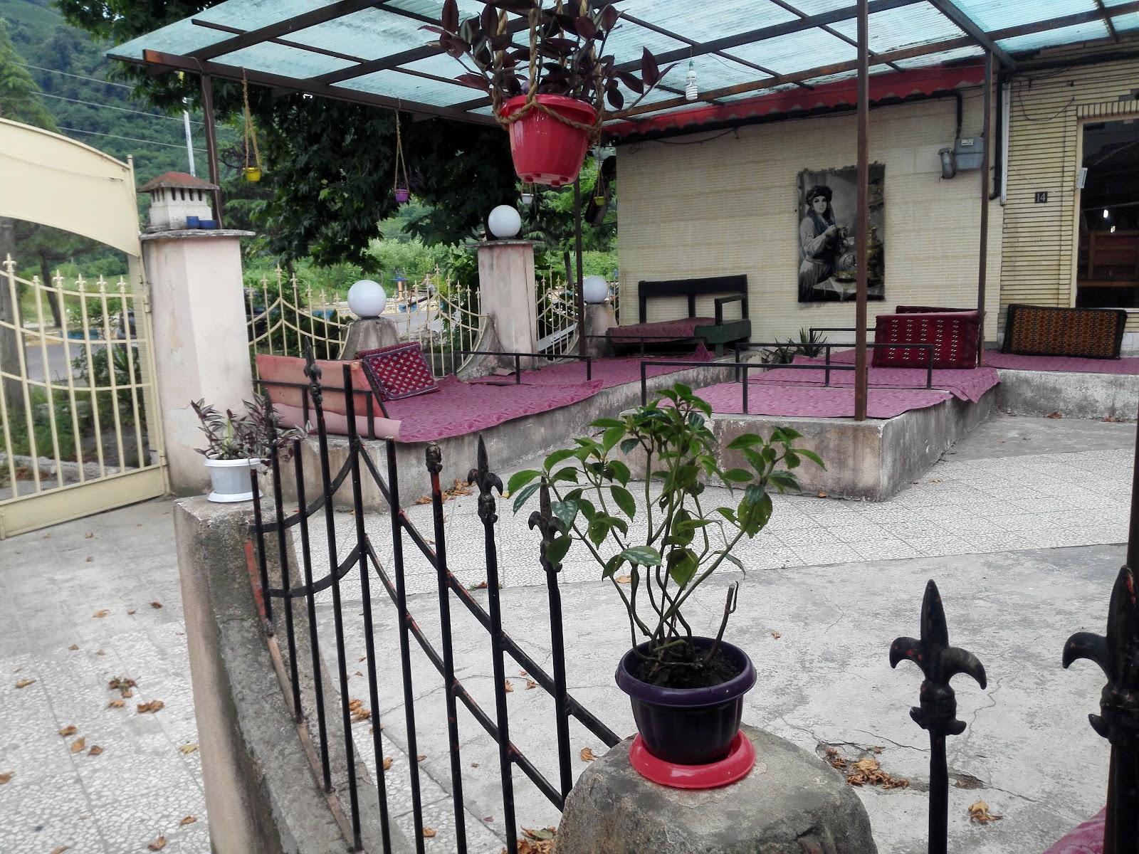 کافه غریبه، تصویر ۲