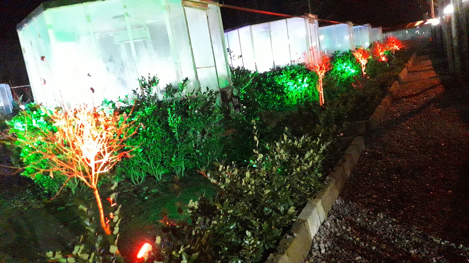 مجتمع گردشگری آریایی، تصویر ۵