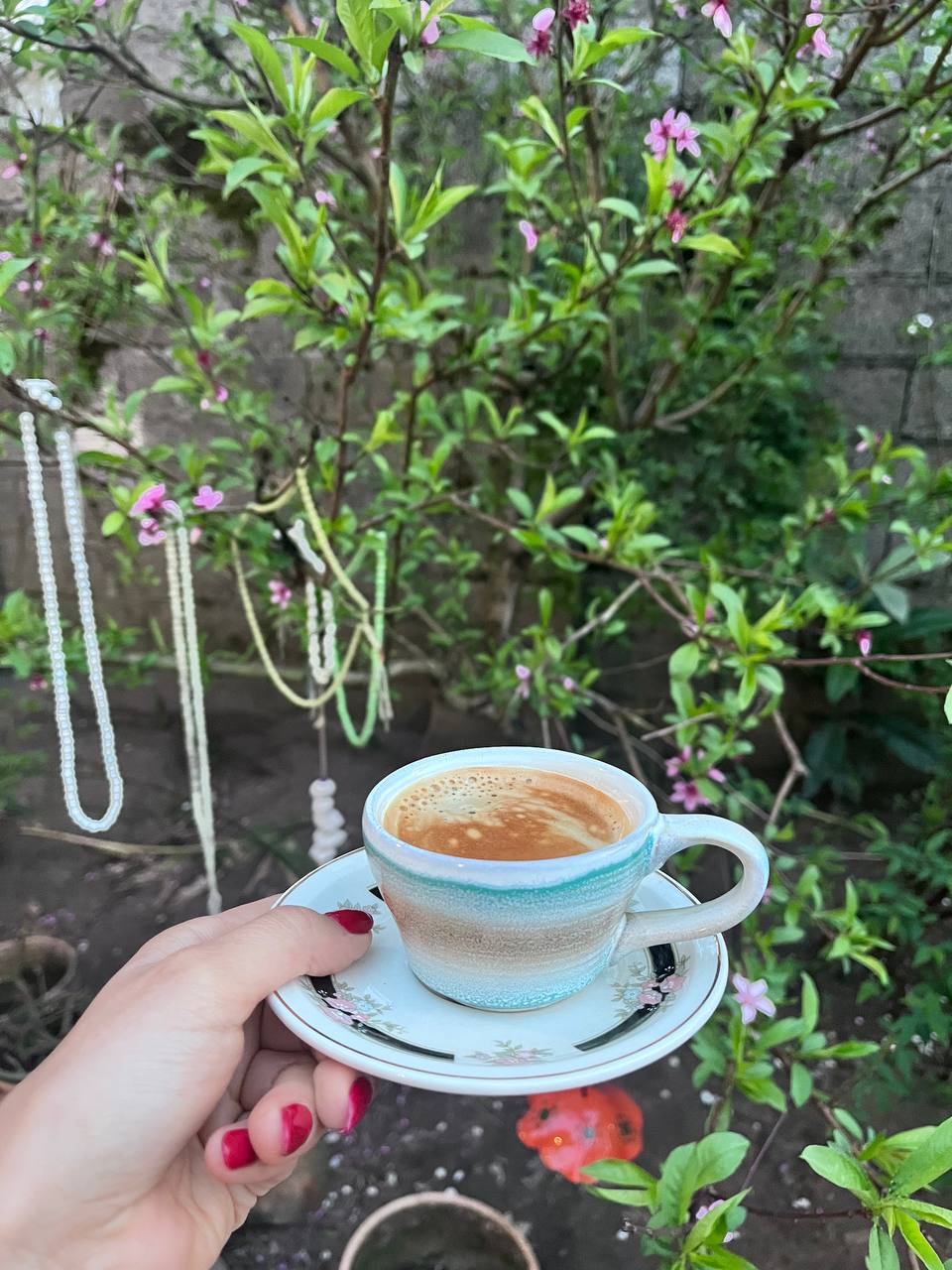 كافه كولي، تصویر ۳