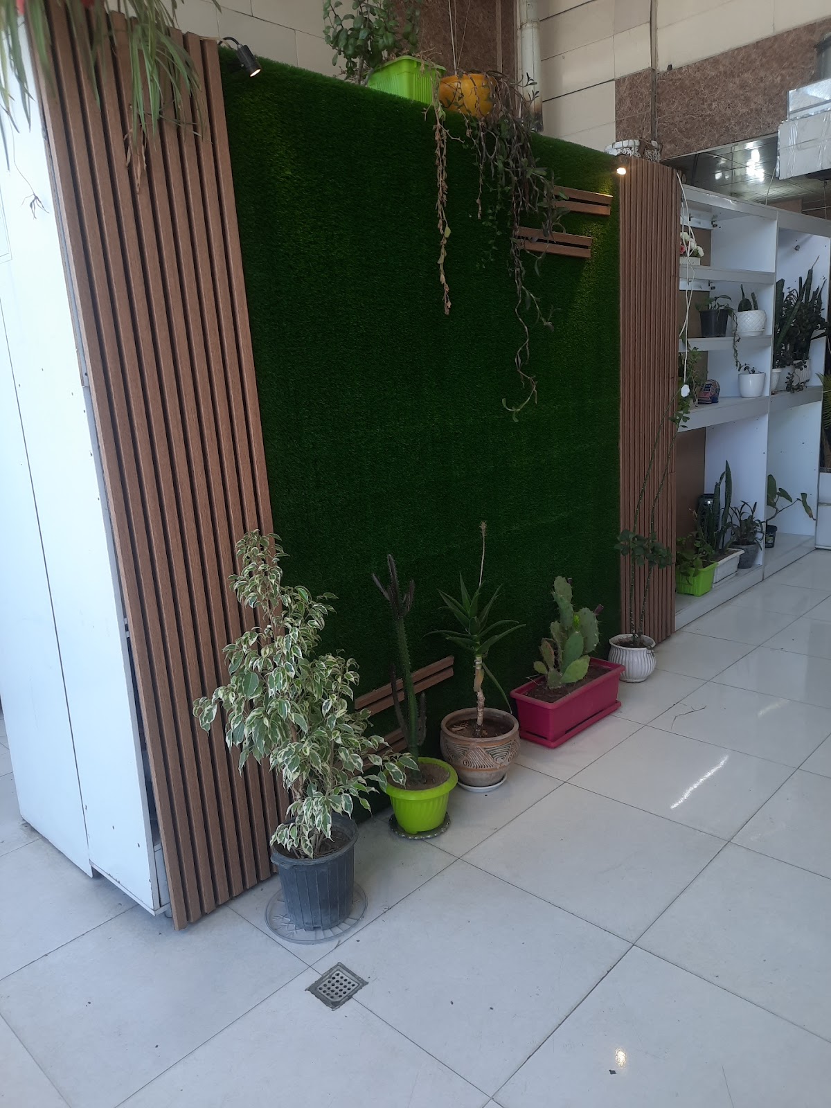 چایخانه سید، تصویر ۳