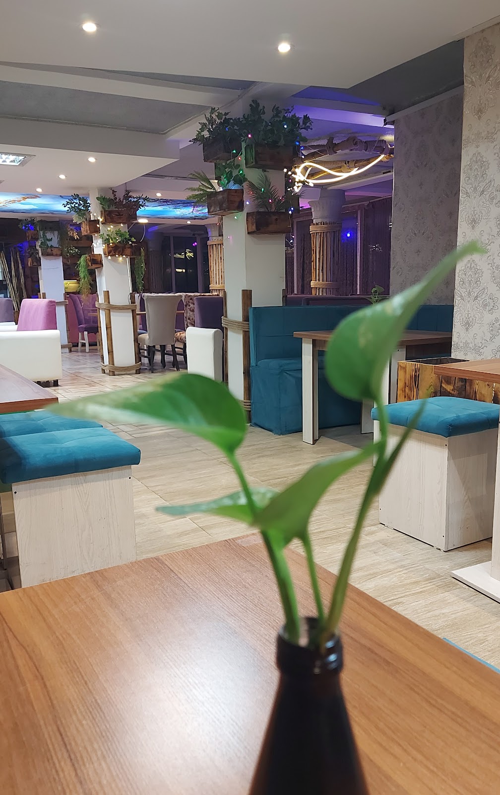 کافه رستوران الماس، تصویر ۵
