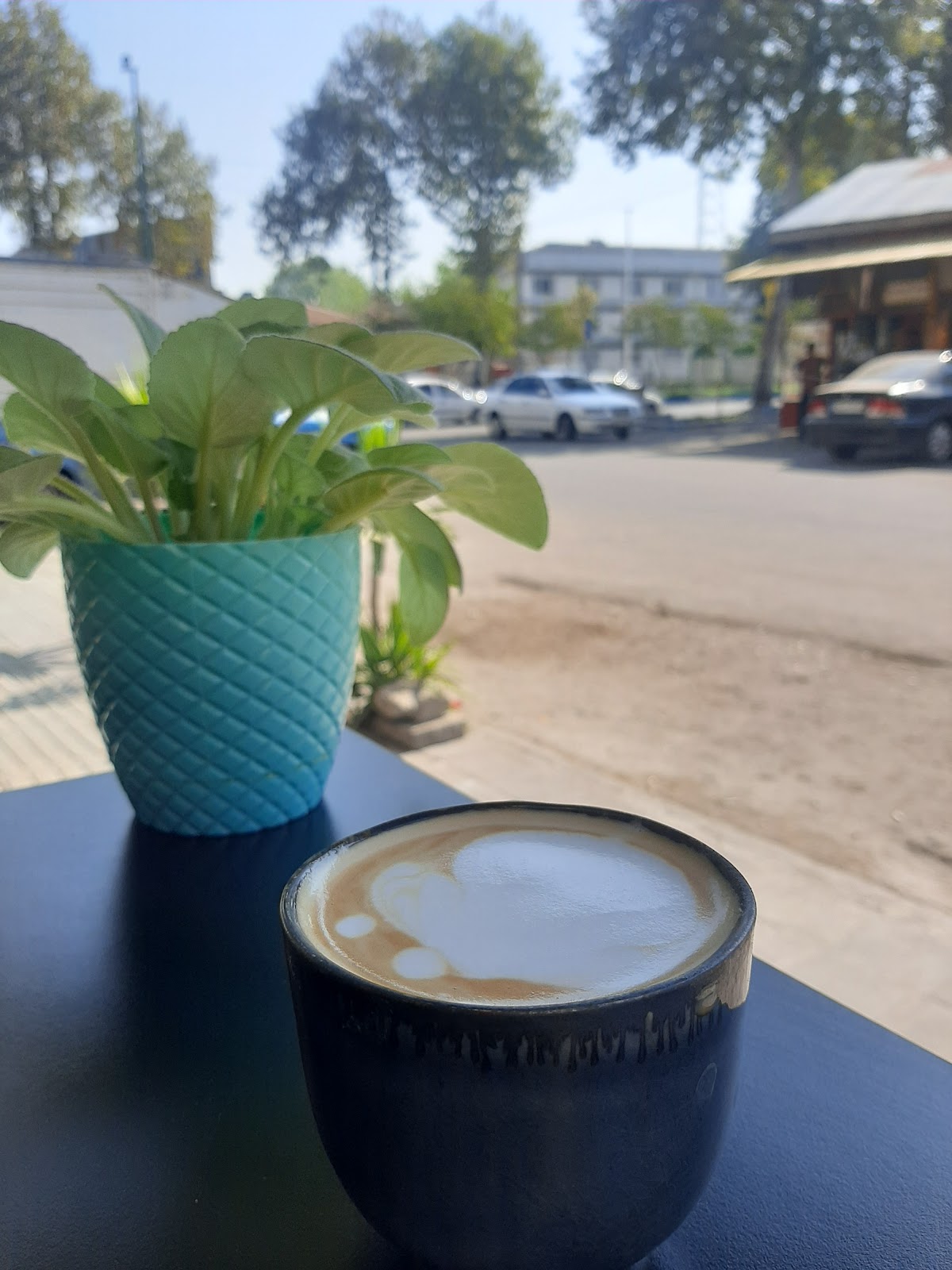 قهوه دیلمان، تصویر ۴