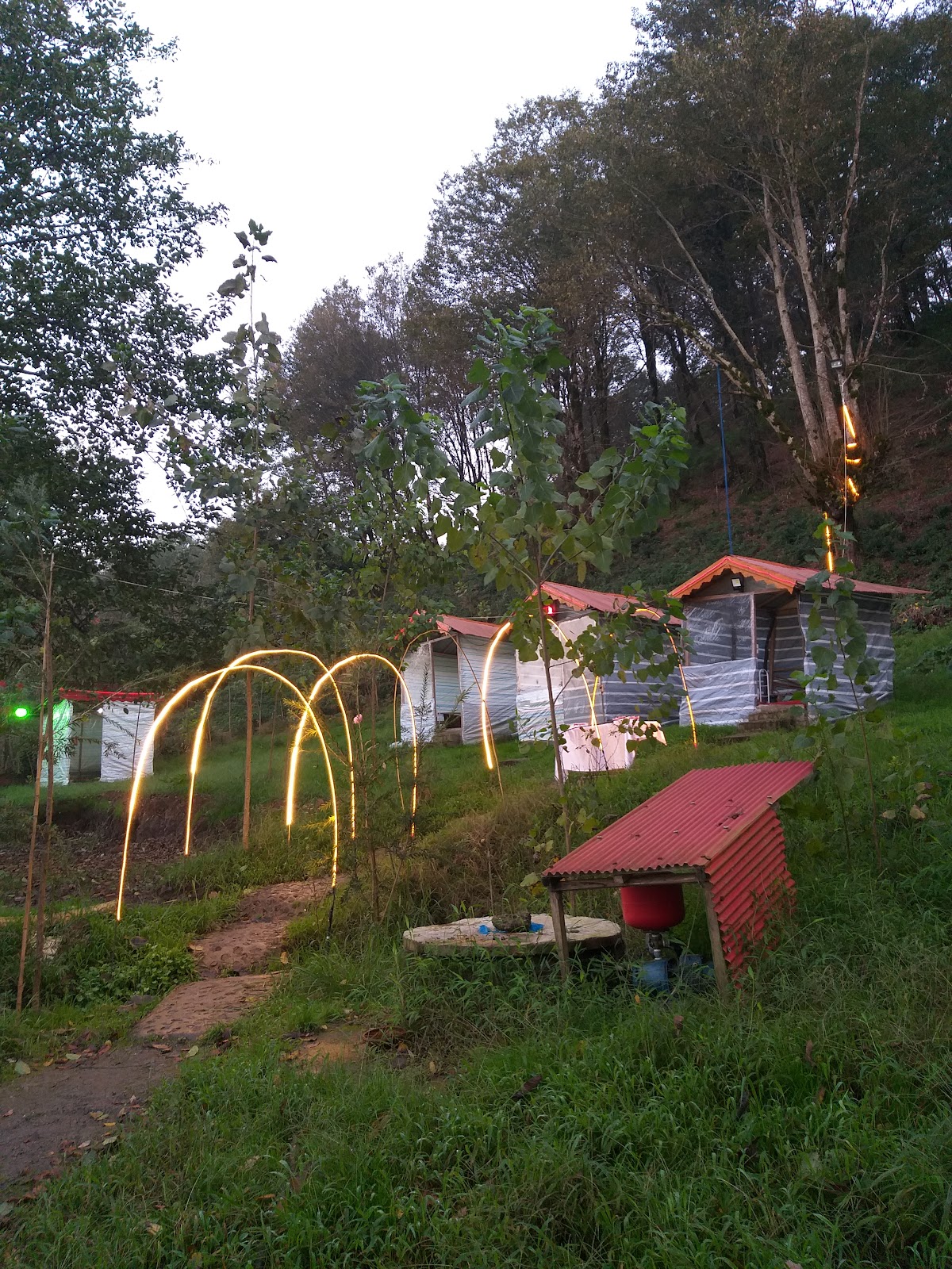 کافه پیام، تصویر ۲