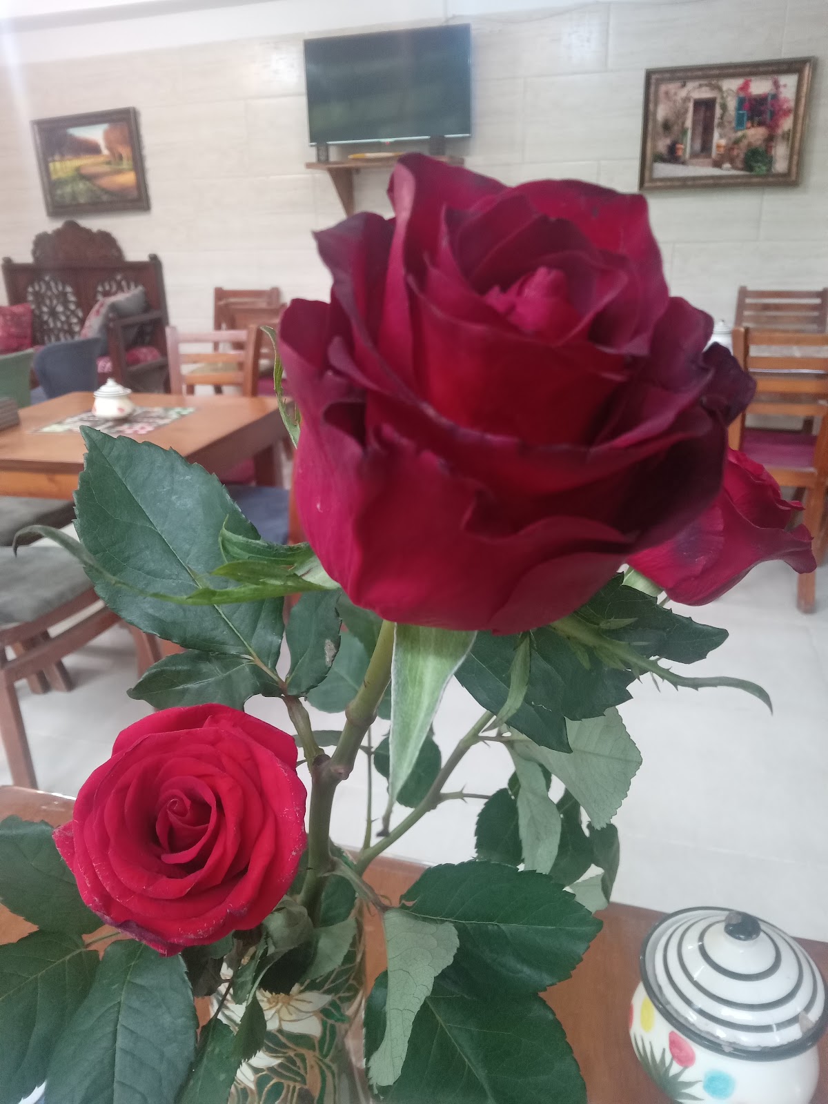 کافه آرت لنگرود، تصویر ۵