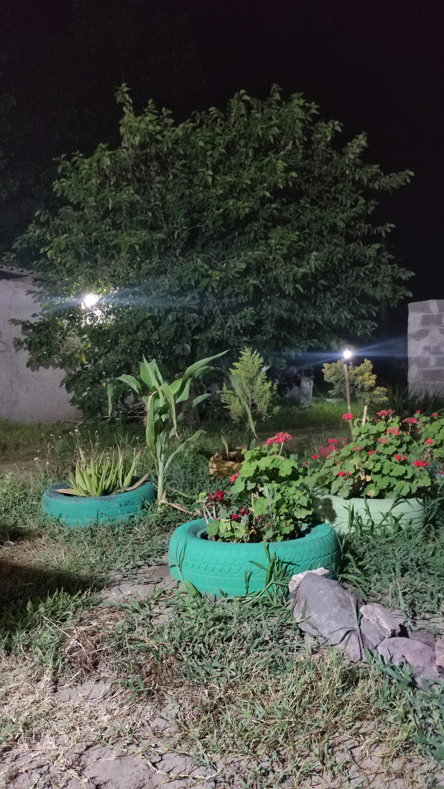 کافه ساحلی بیگ بنگ، تصویر ۶