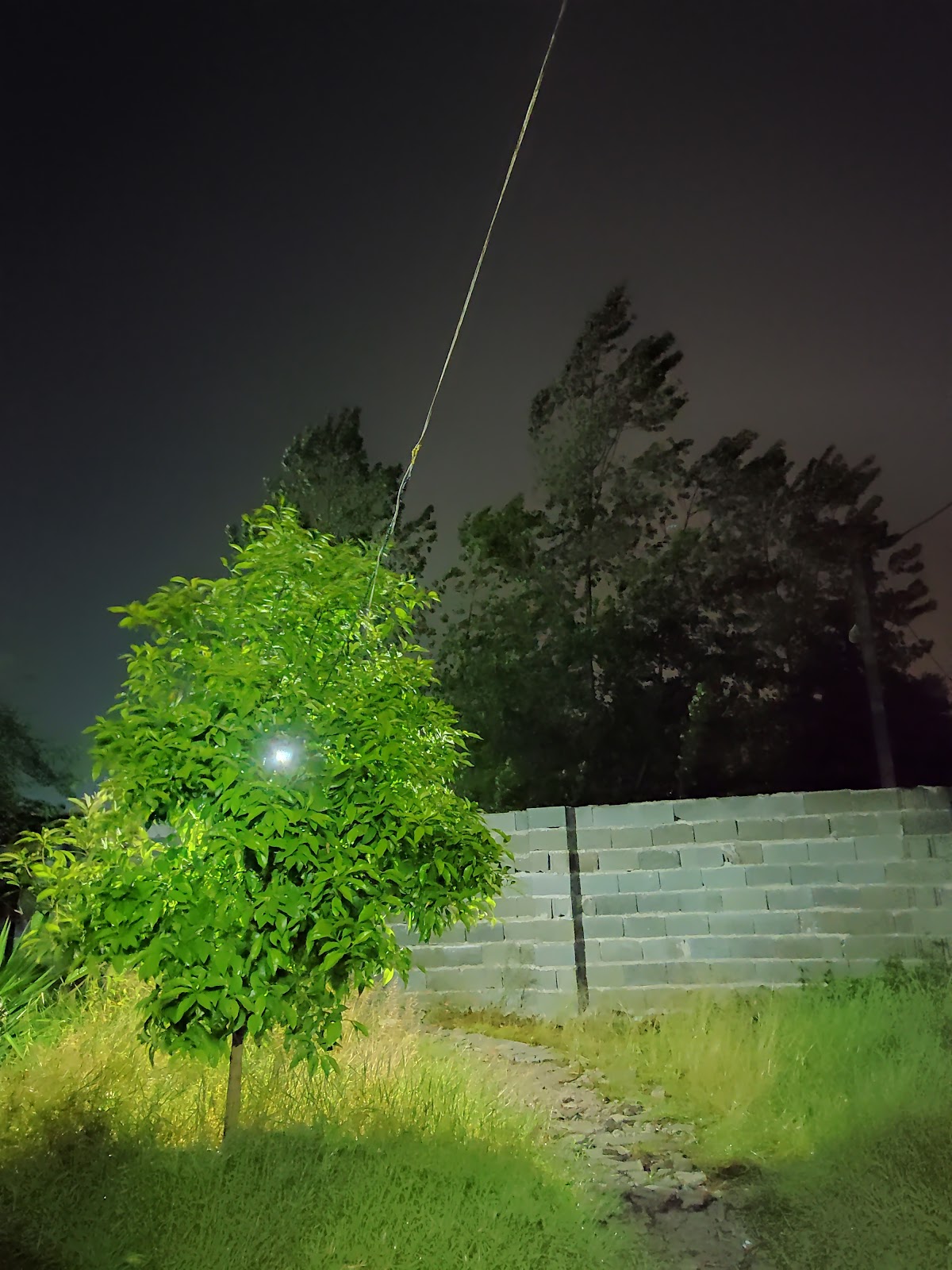 کافه ساحلی بیگ بنگ، تصویر ۷