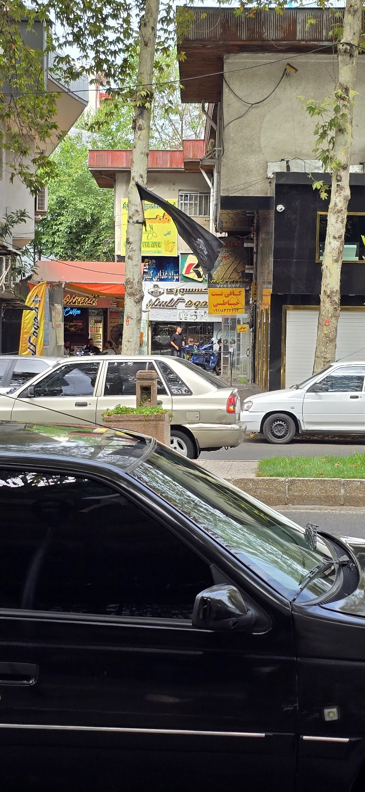 قهوه گلسار، تصویر ۴