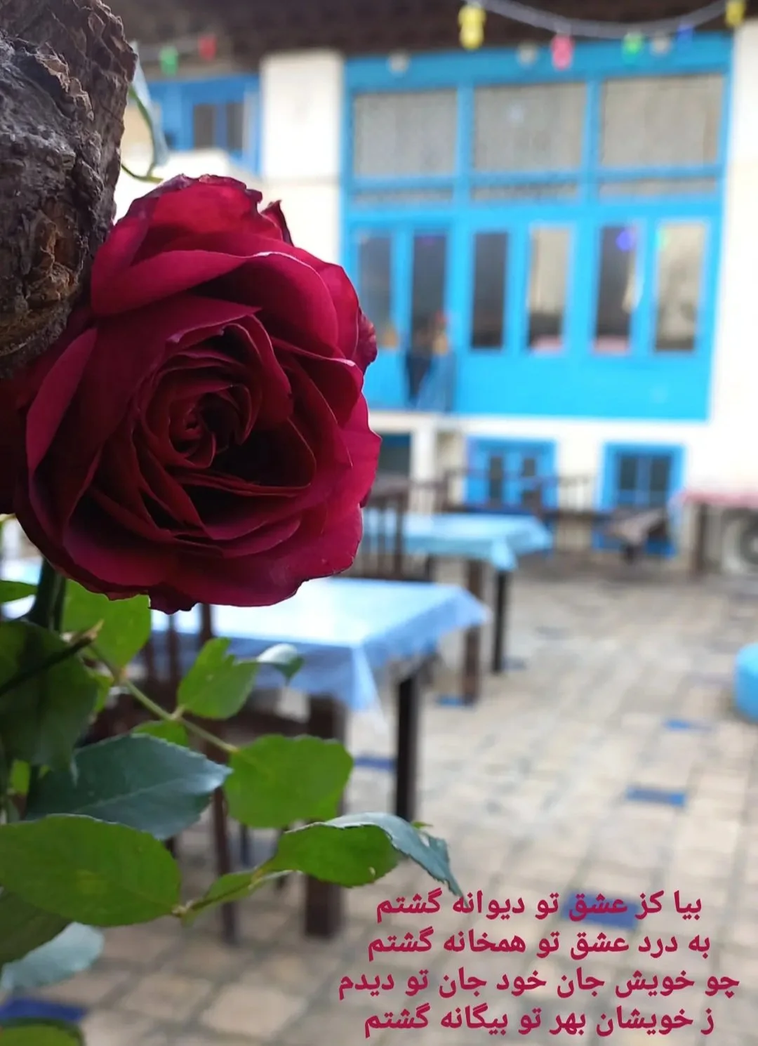 کافه رستوران آقا بزرگ، تصویر ۸