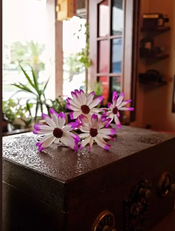 کافه موزه، تصویر ۳