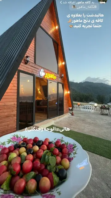 کافه ماهور هالیدشت
