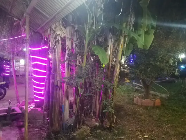 سفره خانه سنتی سناتور